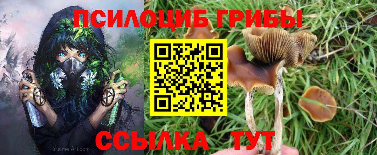Котельники  Псилоцибиновые грибы мухоморы  Вход с VPN  Галлюциногенные грибы Magic Shrooms 