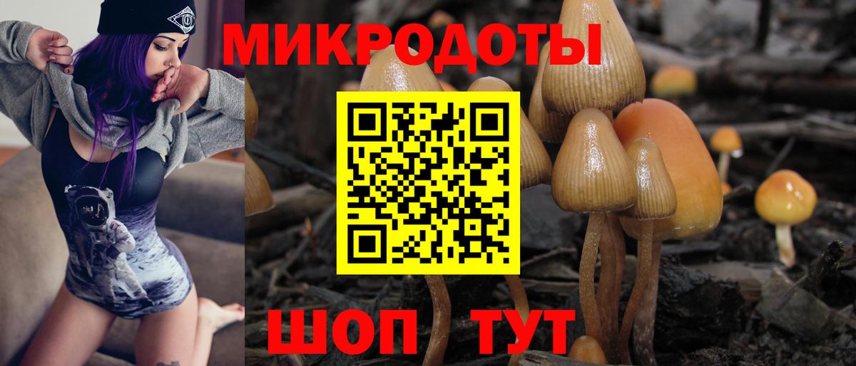 Псилоцибиновые грибы прущие грибы Котельники